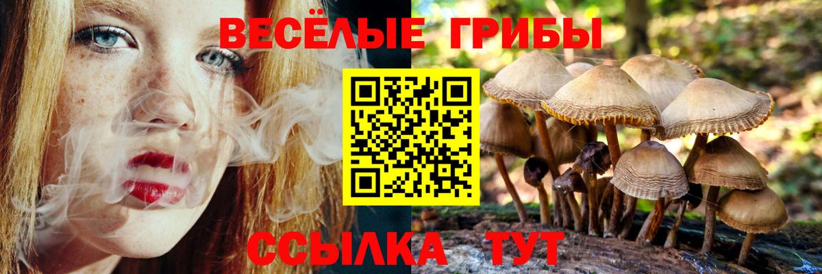 Псилоцибиновые грибы мицелий Корсаков