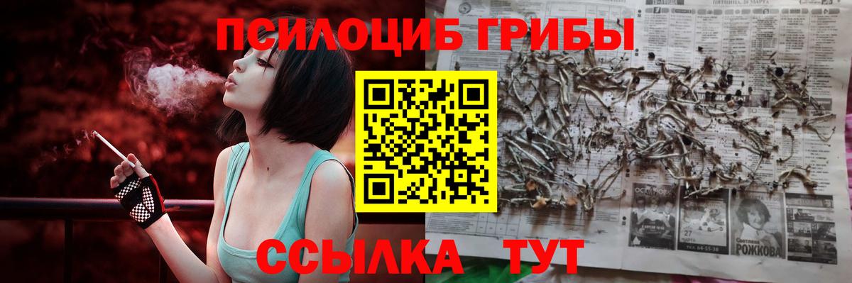 Псилоцибиновые грибы мухоморы  Вход с VPN  Псилоцибиновые грибы мухоморы  где купить наркоту  Корсаков 